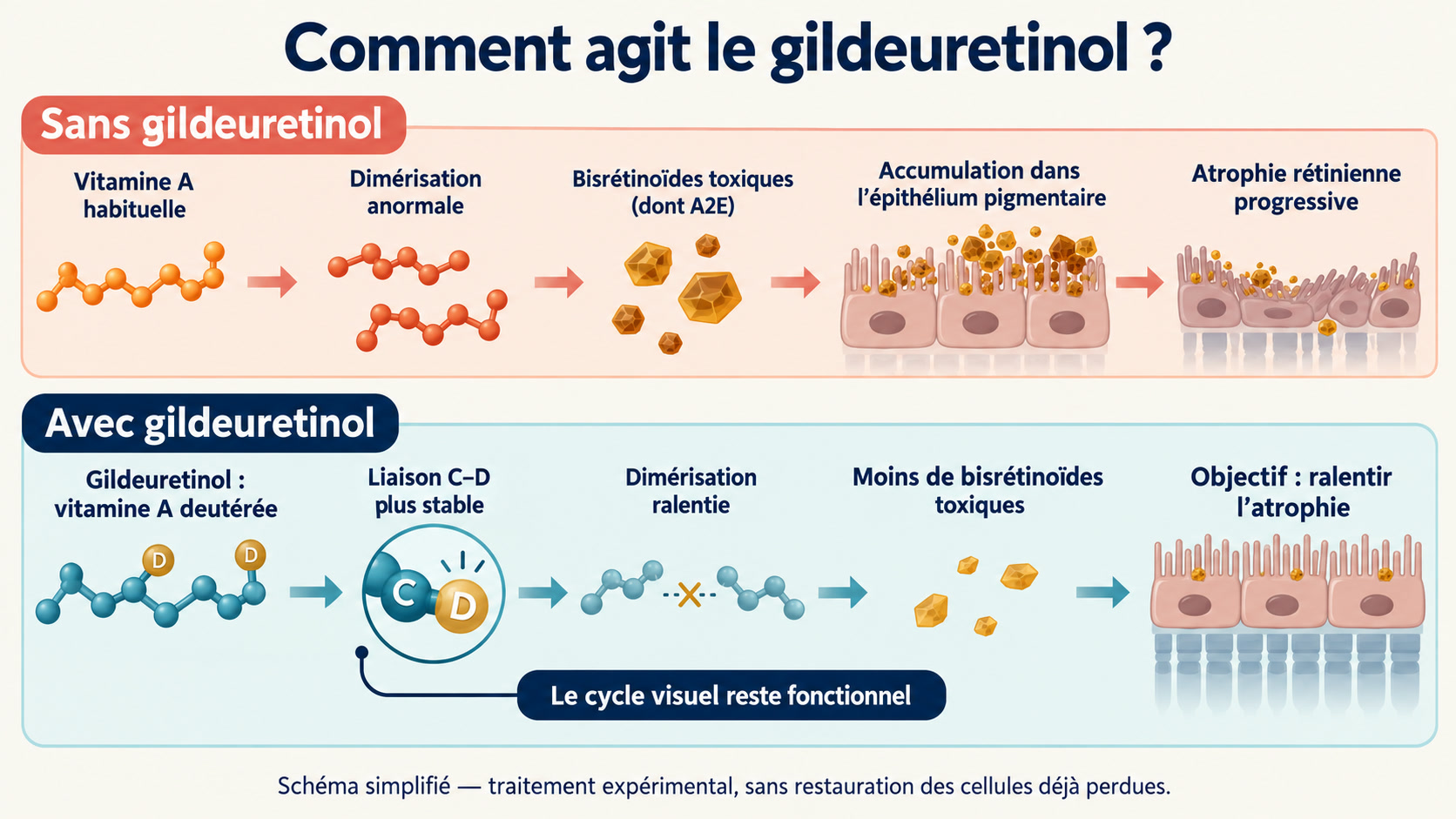 Schéma du mécanisme du gildeuretinol montrant une vitamine A deutérée moins sujette à la dimérisation et à la formation de bisrétinoïdes toxiques